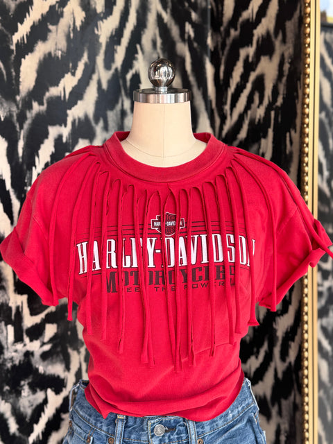 Rodeo Fringe Harley