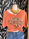 Orange you glad vintage distressed tee