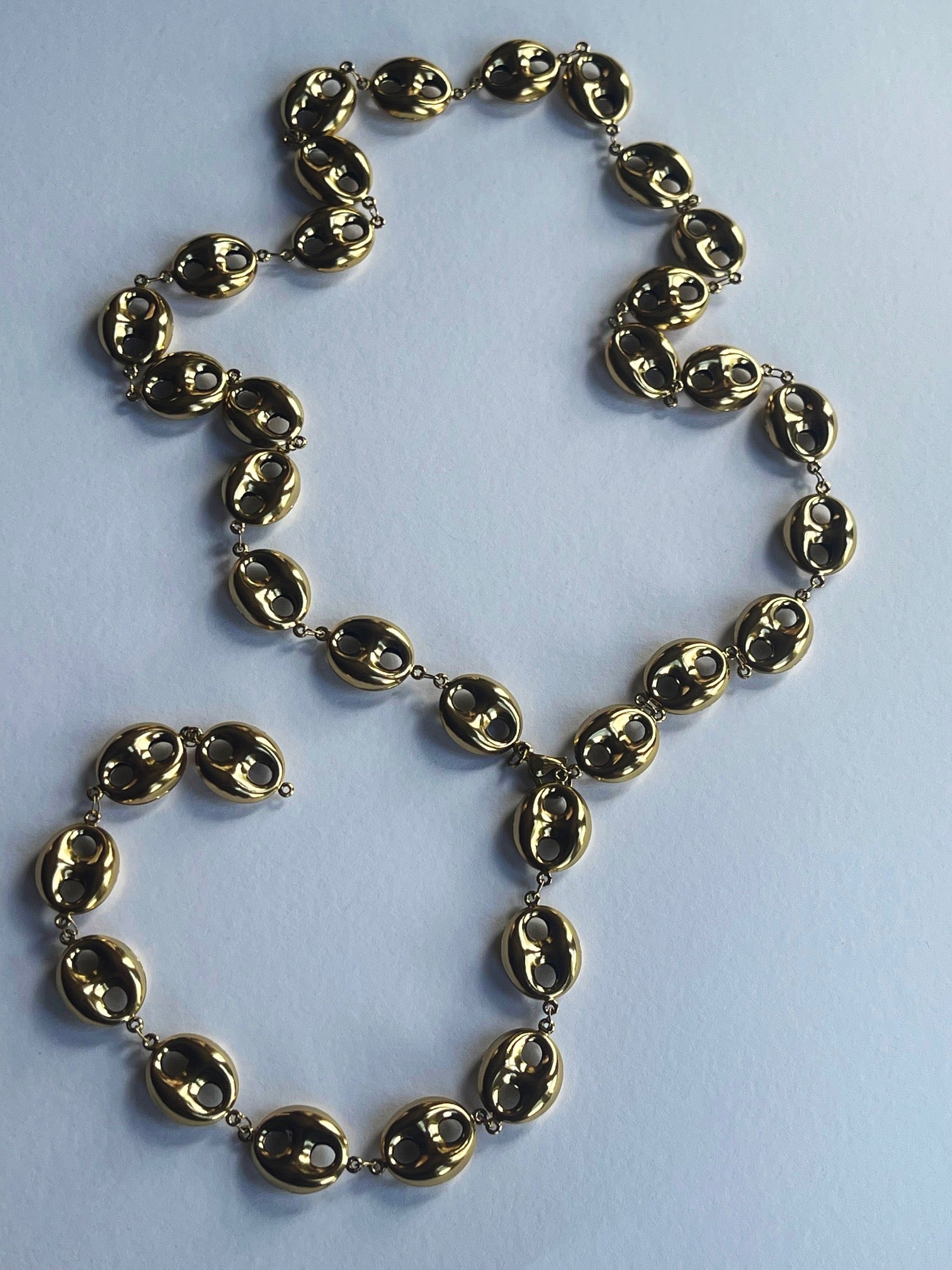 Muse Link Long Necklace